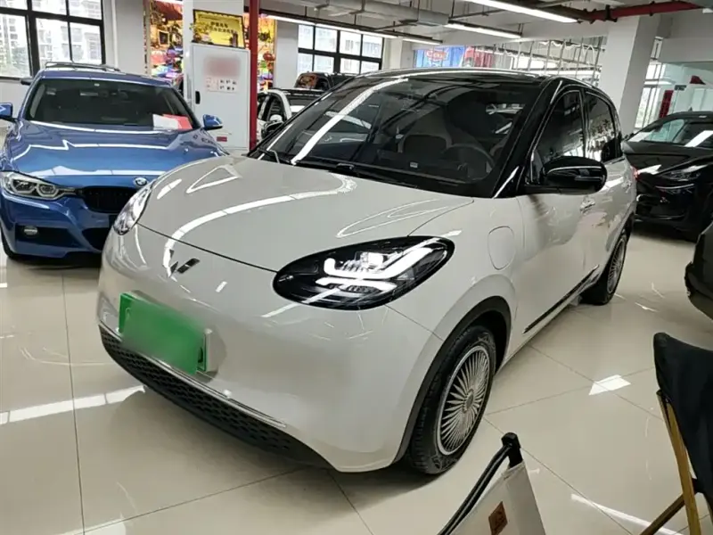 Wuling Bingo, 2025