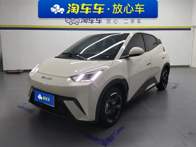 BYD Seagull, 2024