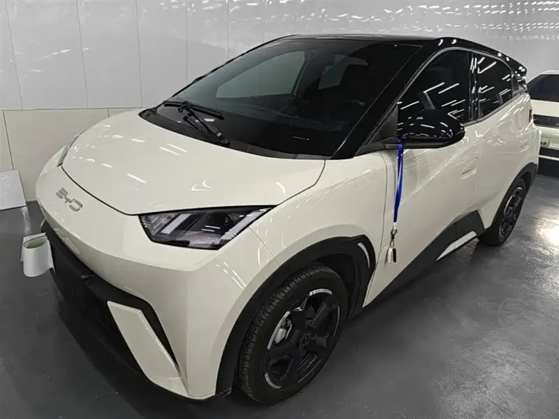 BYD Seagull, 2024