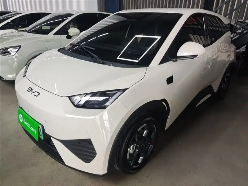 BYD Seagull, 2025
