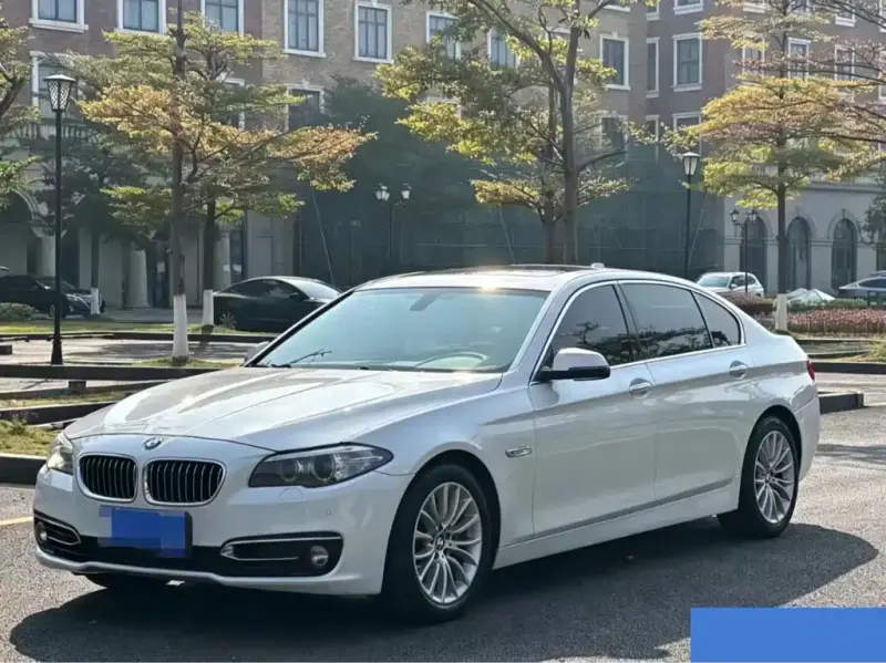 BMW 5 Series, 2014