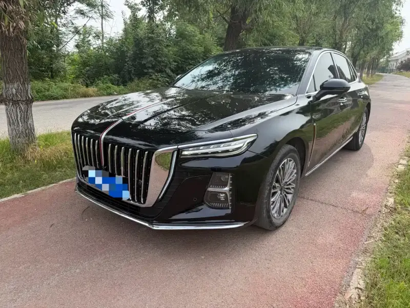 Hongqi H5, 2024