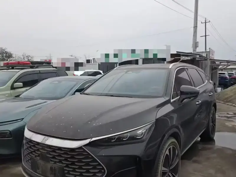 BYD Tang New Energy, 2023