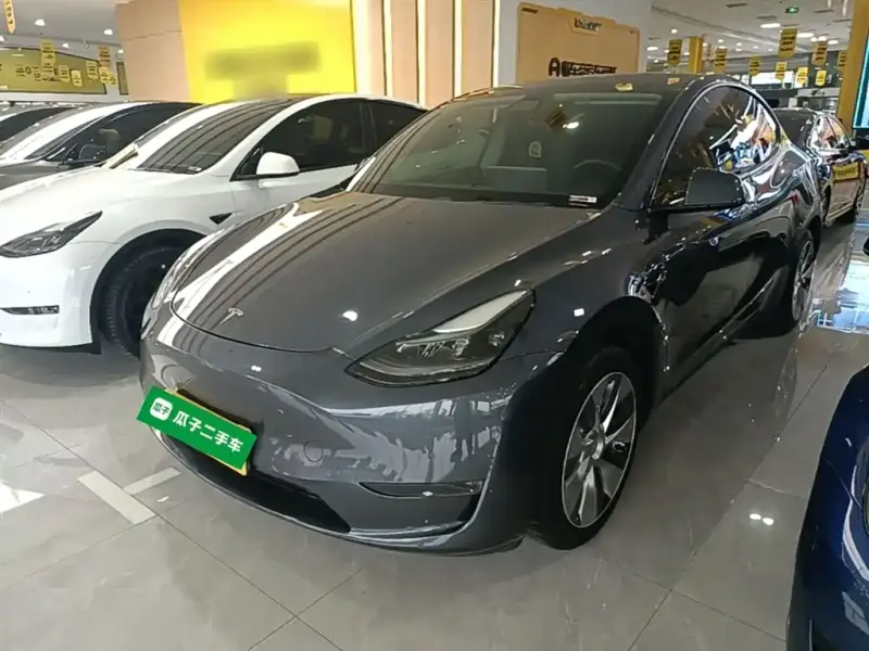 Tesla Model Y, 2021