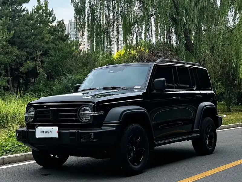 Tank 300, 2025