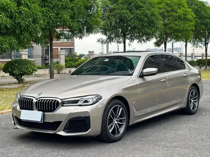 BMW 5 Series, 2021