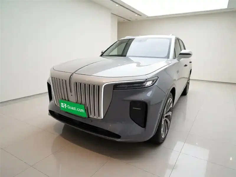Hongqi E-HS9, 2021