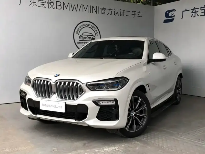 BMW X6, 2021