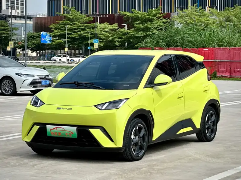 BYD Seagull, 2024