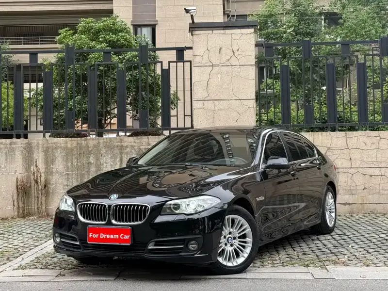 BMW 5 Series, 2014