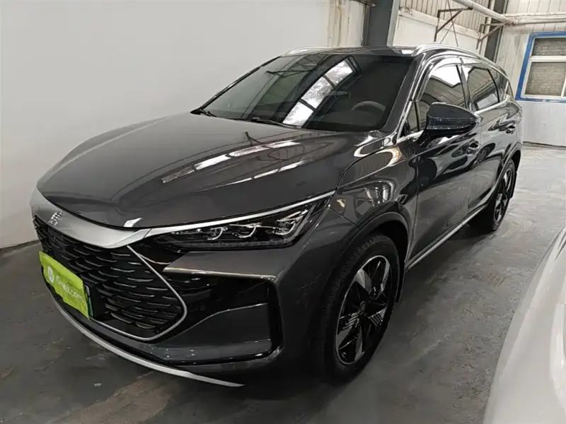BYD Tang New Energy, 2024