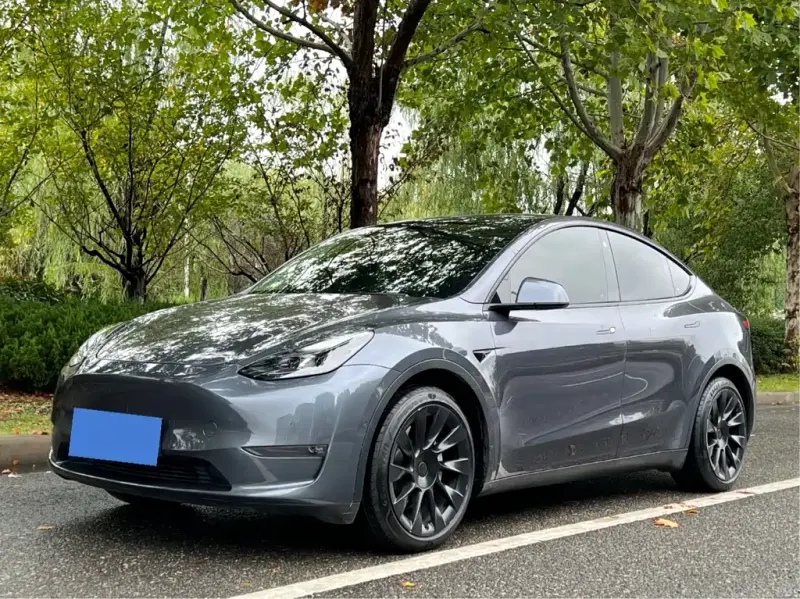 Tesla Model Y, 2021