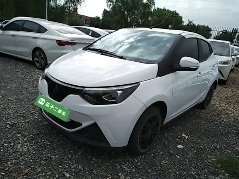 JMEV EV2, 2024