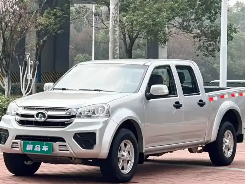 Great Wall Fengjun 5, 2023