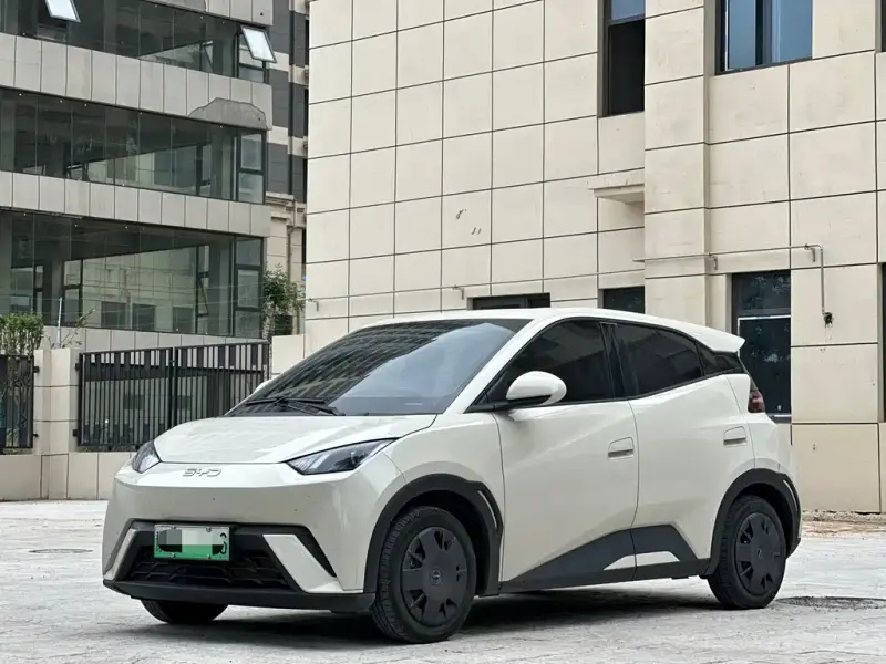 BYD Seagull, 2024