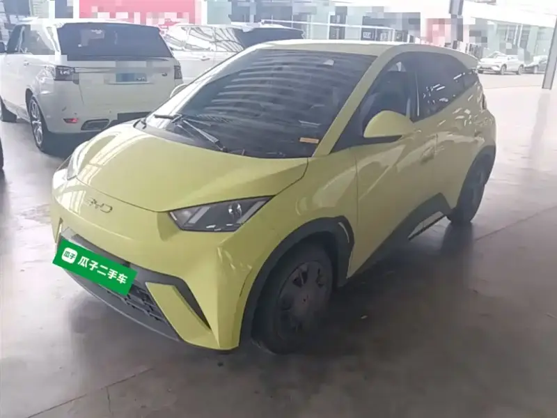 BYD Seagull, 2024