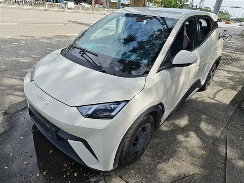 BYD Seagull, 2024