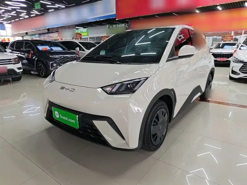 BYD Seagull, 2024