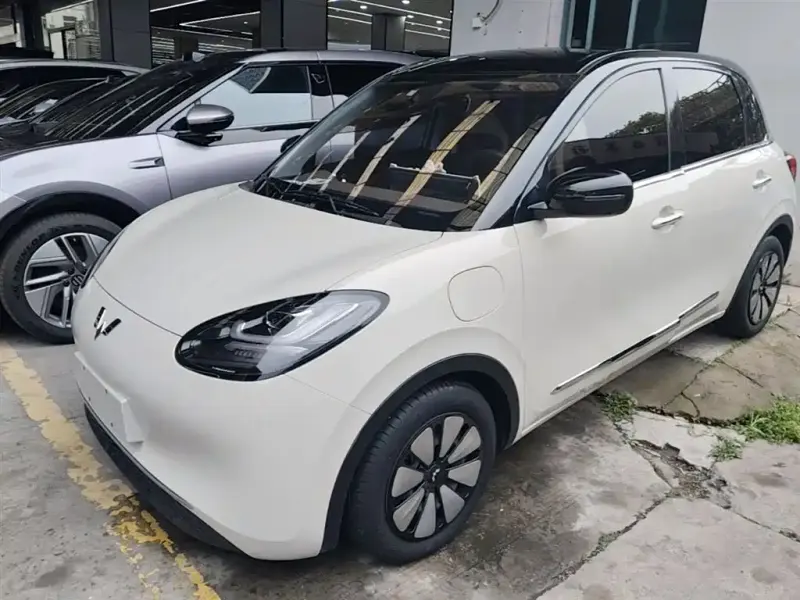 Wuling Bingo, 2024