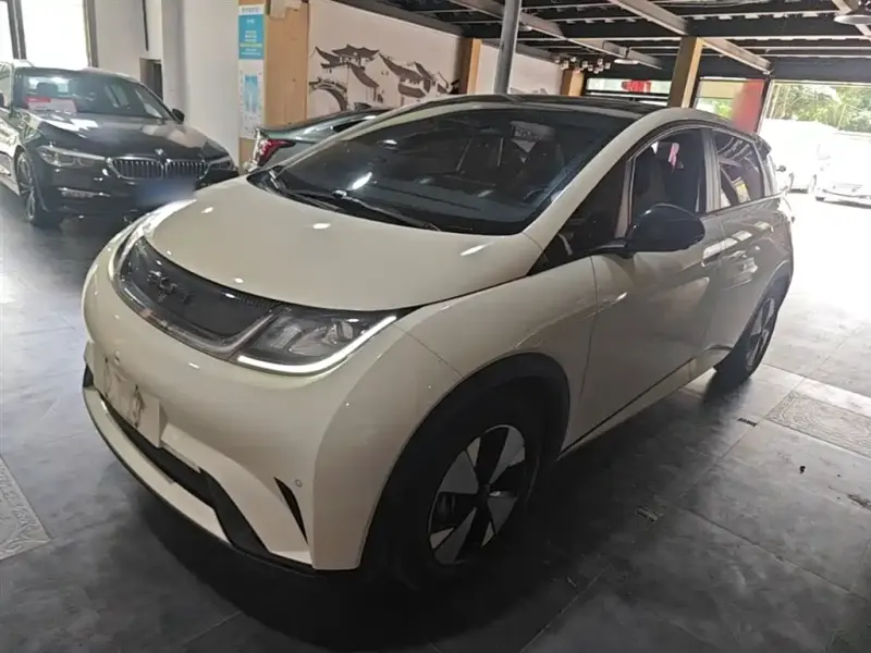 BYD Dolphin, 2023