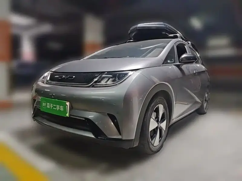 BYD Dolphin, 2024