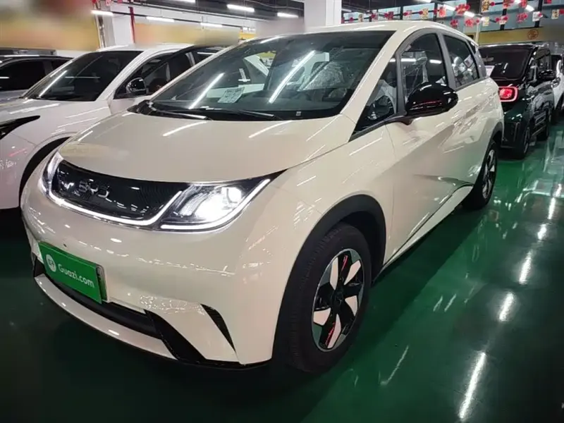 BYD Dolphin, 2026