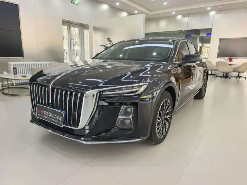 Hongqi H5, 2024