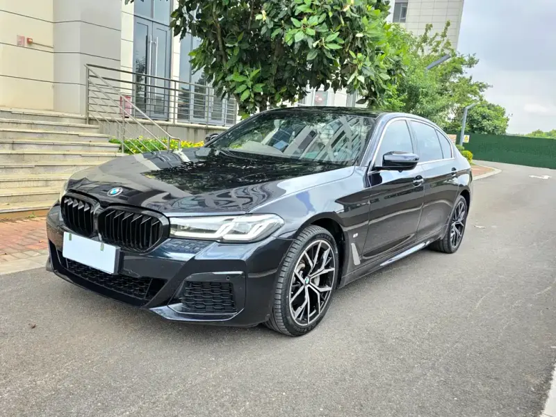 BMW 5 Series, 2020