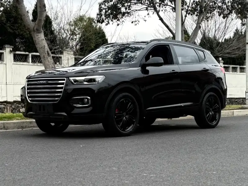 Haval H6, 2020