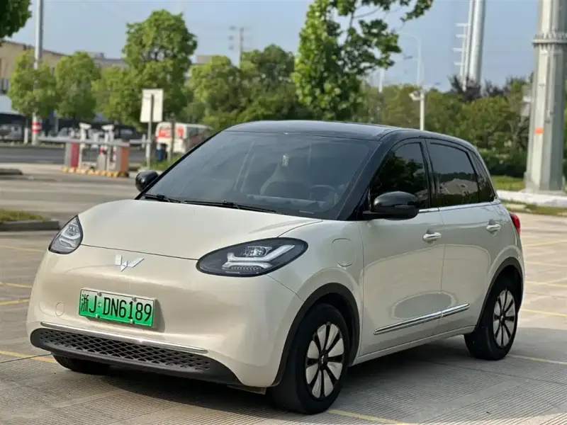 Wuling Bingo, 2024