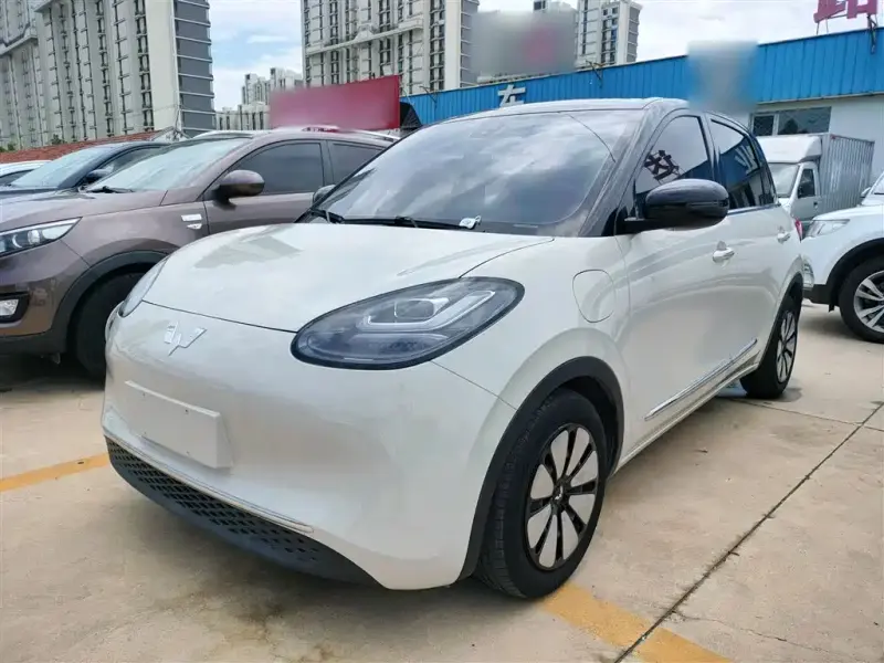 Wuling Bingo, 2023