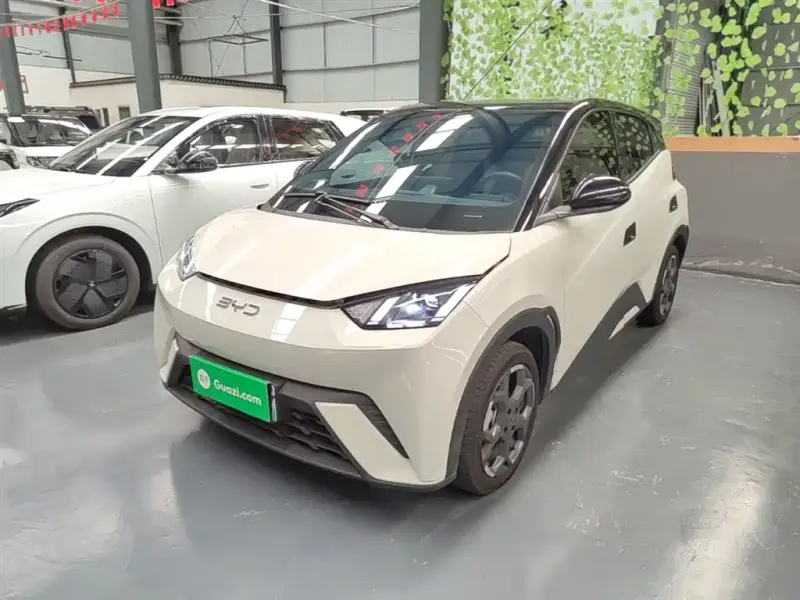 BYD Seagull, 2024