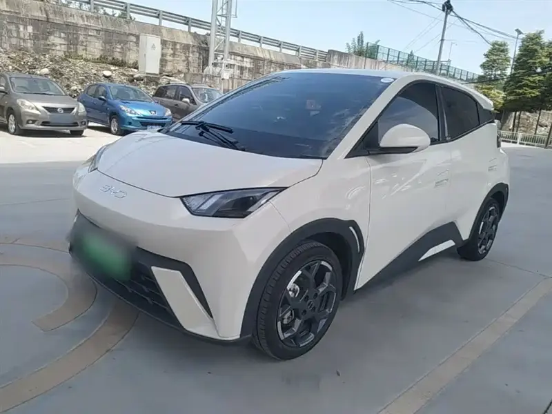 BYD Seagull, 2025