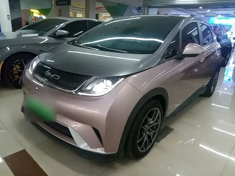 BYD Dolphin, 2021