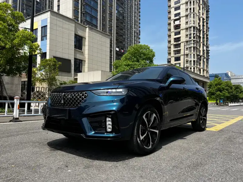 Wey VV7 GT, 2021