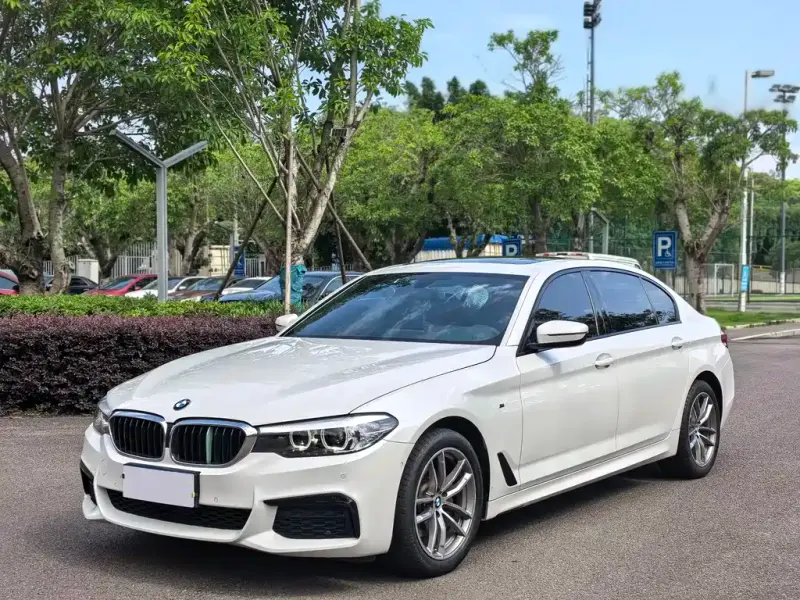 BMW 5 Series, 2019