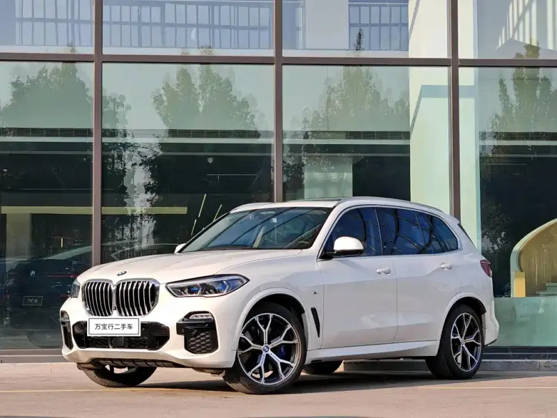 BMW X5 (Import), 2019