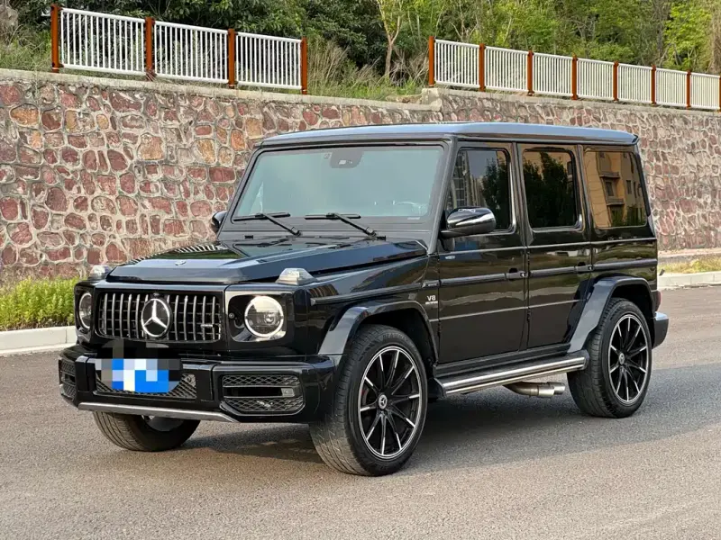 Mercedes-Benz G-Class, 2011