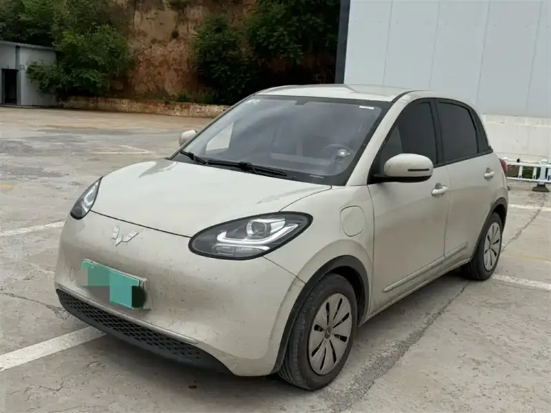 Wuling Bingo, 2023