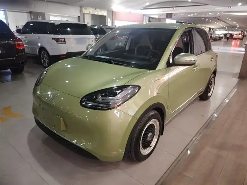Wuling Bingo, 2023