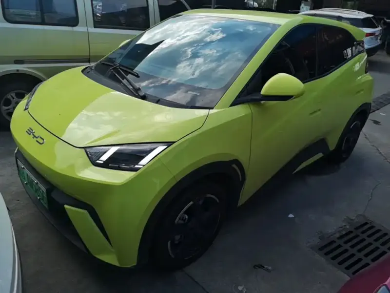 BYD Seagull, 2024