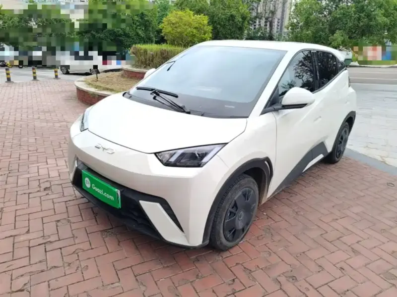 BYD Seagull, 2025