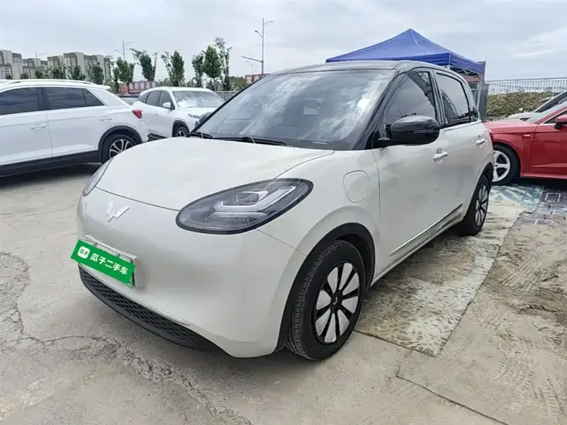 Wuling Bingo, 2024