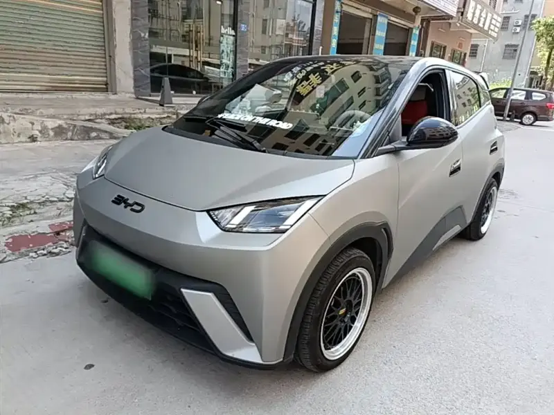 BYD Seagull, 2024