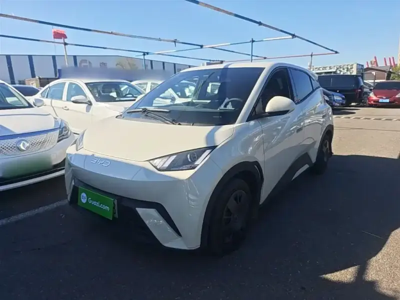 BYD Seagull, 2024