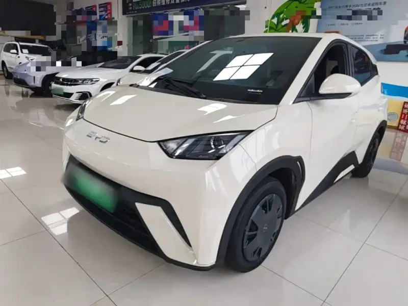 BYD Seagull, 2024