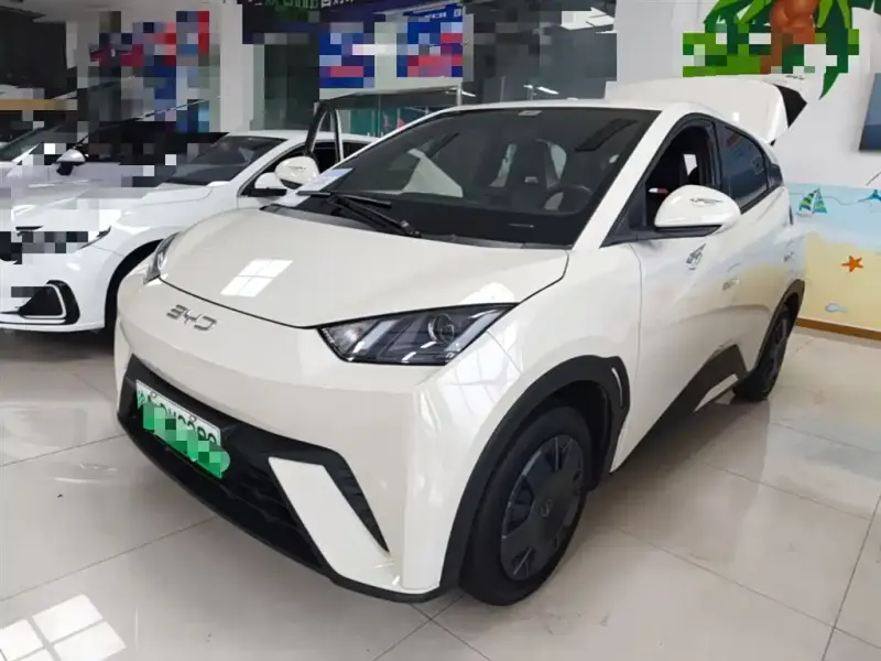 BYD Seagull, 2024