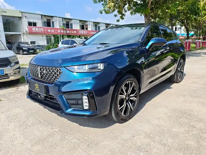 Wey VV7, 2019