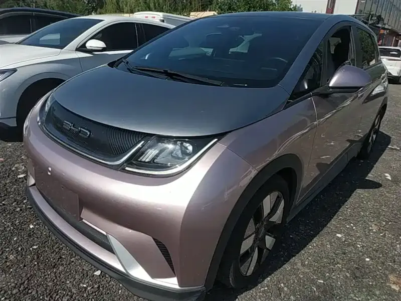 BYD Dolphin, 2022