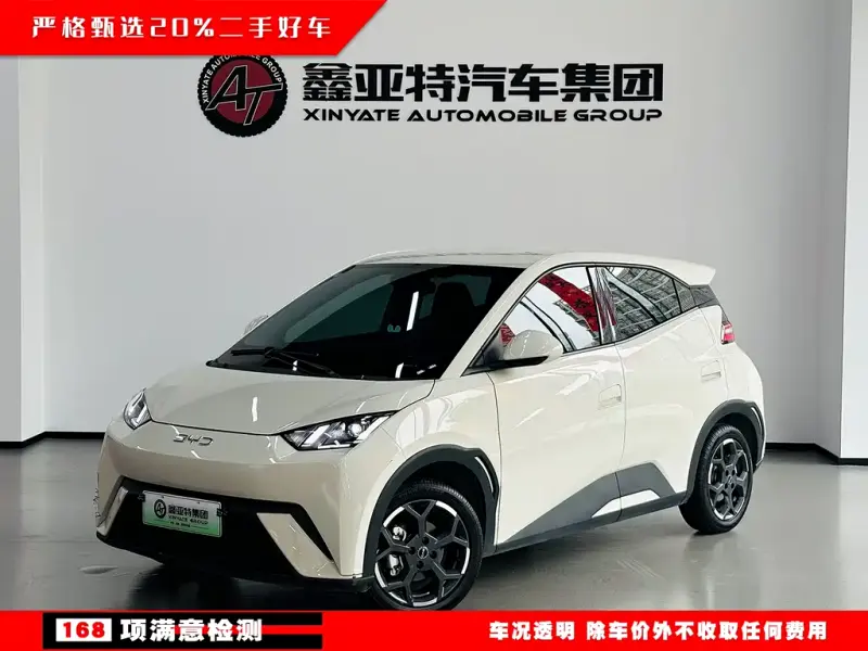 BYD Seagull, 2024
